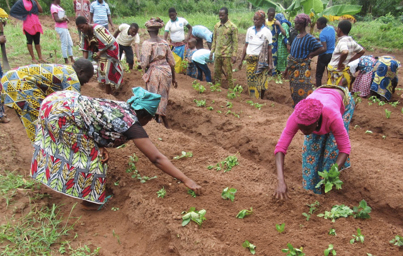 Agroecologie